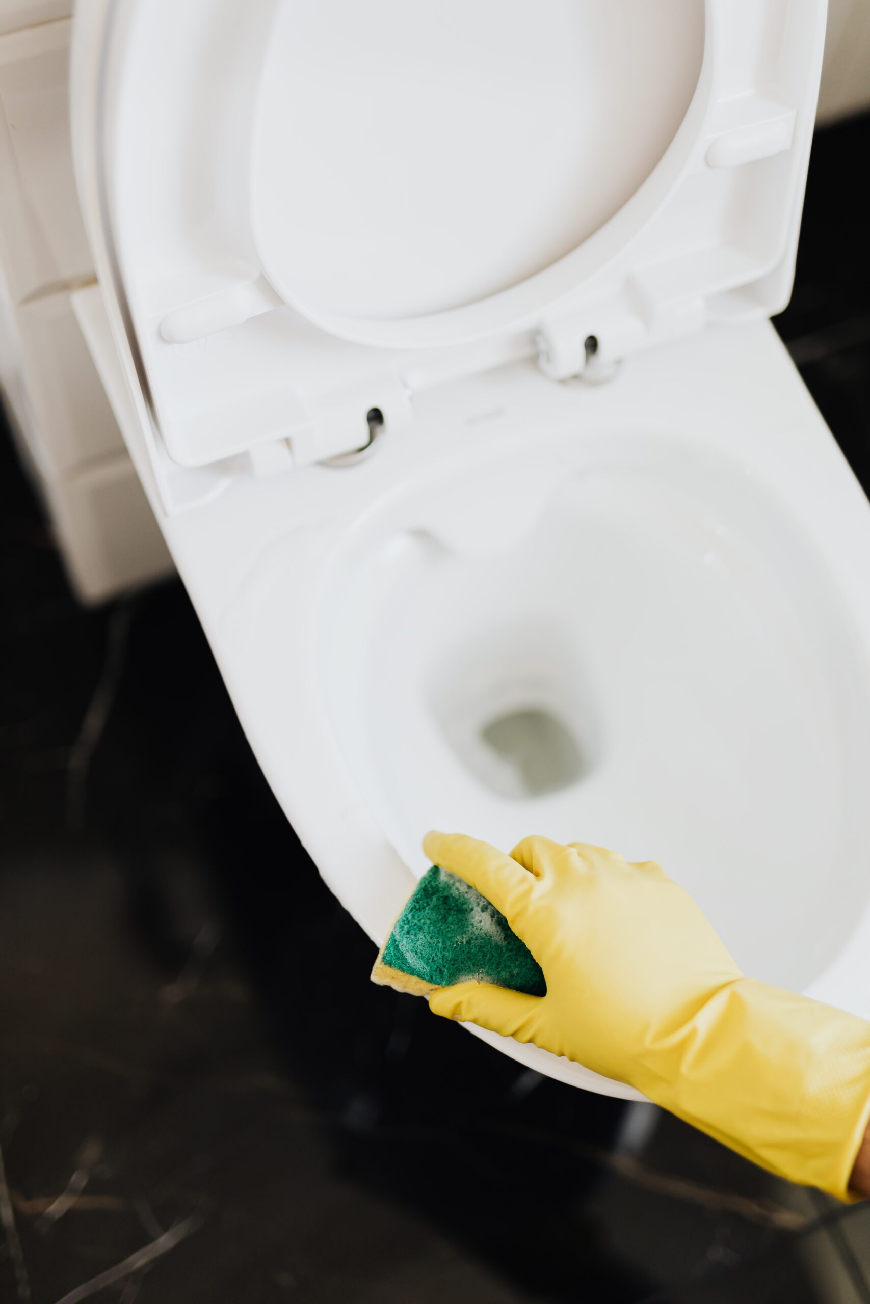 toilet drain repair dallas tx - Horizon Plumbing