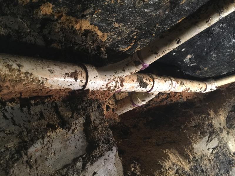Look Out for These Common Plumbing Issues in Old Houses - Horizon Plumbing