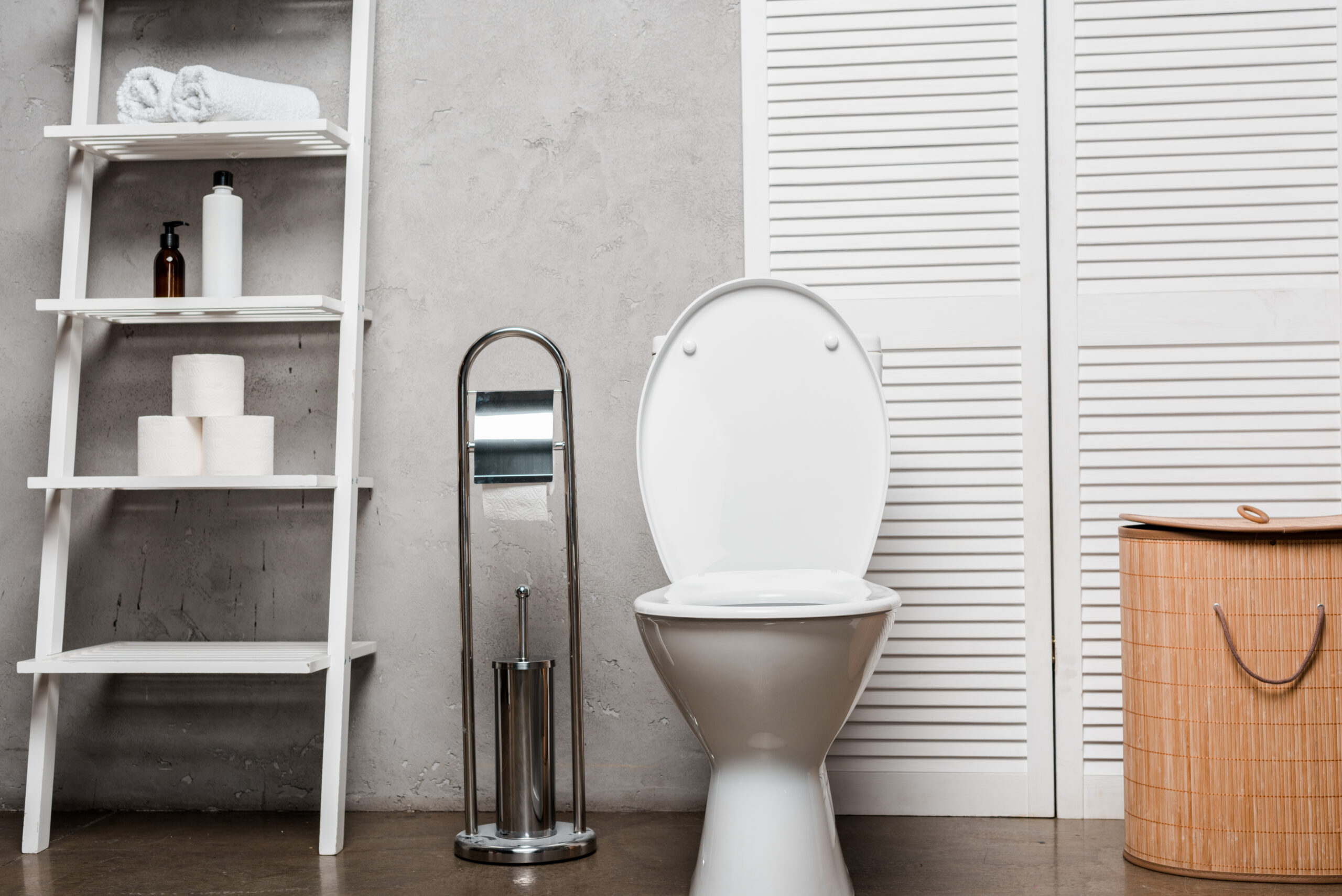 Plano Toilet Repair - Horizon Plumbing