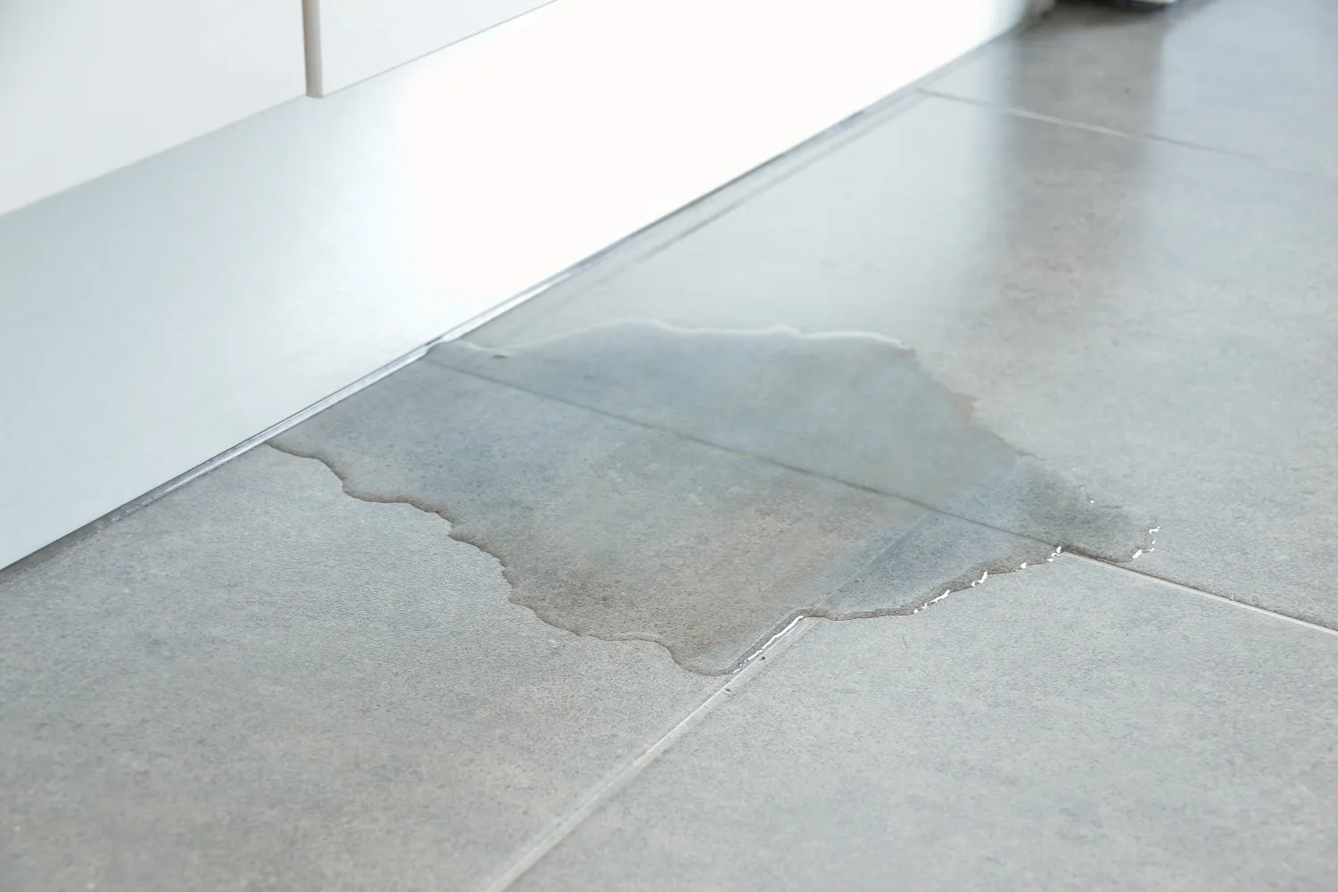 Hidden Water Leaks - Horizon Plumbing